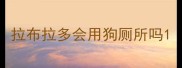 拉布拉多会用狗厕所吗