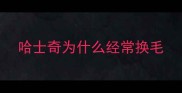 哈士奇为什么经常换毛