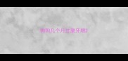 狗狗几个月过磨牙期