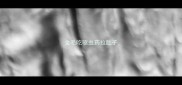 金毛吃驱虫药拉肚子
