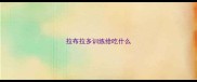 拉布拉多训练给吃什么