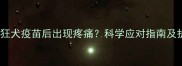 狗狗打完狂犬疫苗后出现疼痛科学应对指南及护理要点
