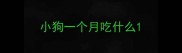 小狗一个月吃什么