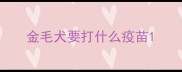 金毛犬要打什么疫苗