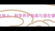 狗狗喜欢趴在地上科学养护指南与潜在健康隐患深度