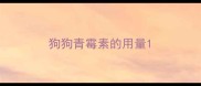 狗狗青霉素的用量