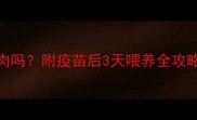 幼犬疫苗后能吃肉吗附疫苗后3天喂养全攻略附食物清单