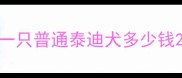 一只普通泰迪犬多少钱