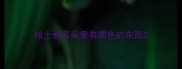 哈士奇耳朵里有黑色的东西