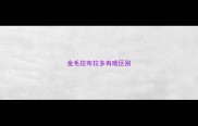 金毛拉布拉多有啥区别