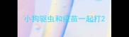 小狗驱虫和疫苗一起打