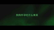 狗狗怀孕吃什么青菜