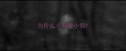为什么小狗咬小狗