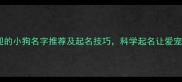最受欢迎的小狗名字推荐及起名技巧科学起名让爱宠更可爱