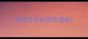 拉布拉多的急性湿疹