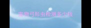 宠物弓形虫检测多少钱