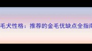 金毛犬性格推荐的金毛优缺点全指南