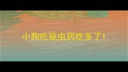 小狗吃驱虫药吃多了