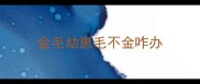 金毛幼崽毛不金咋办