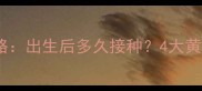 金毛犬幼犬疫苗全攻略出生后多久接种4大黄金时间表与避坑指南