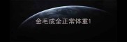 金毛成全正常体重