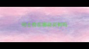 哈士奇在哪能买到吗