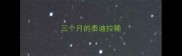 三个月的泰迪拉稀