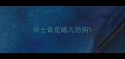 哈士奇是哪儿的狗