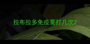 拉布拉多免疫要打几次
