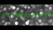 拉布拉多鼻子变黑这7个护理秘诀让褐色鼻子恢复粉嫩附真实对比图
