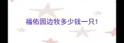 福佑园边牧多少钱一只