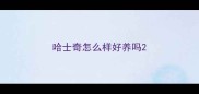 哈士奇怎么样好养吗