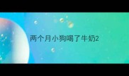 两个月小狗喝了牛奶