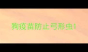 狗疫苗防止弓形虫