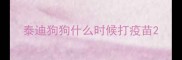 泰迪狗狗什么时候打疫苗