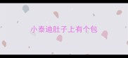 小泰迪肚子上有个包