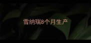 雪纳瑞8个月生产
