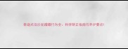 泰迪犬沿沙发蹭蹭行为全科学矫正指南与养护要点