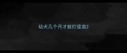 幼犬几个月才能打疫苗