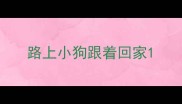 路上小狗跟着回家