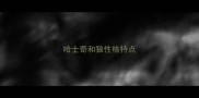 哈士奇和狼性格特点