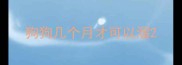狗狗几个月才可以溜