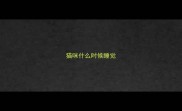 猫咪什么时候睡觉
