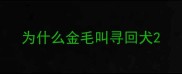 为什么金毛叫寻回犬