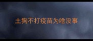 土狗不打疫苗为啥没事