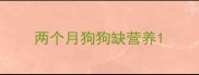 两个月狗狗缺营养