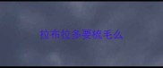 拉布拉多要梳毛么