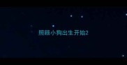 照顾小狗出生开始