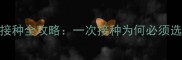 狗狗狂犬疫苗接种全攻略一次接种为何必须选对疫苗类型