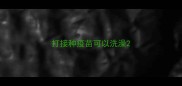 打接种疫苗可以洗澡
